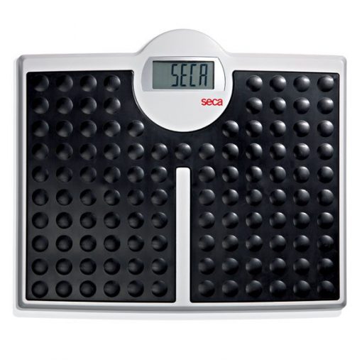 Seca Robusta 813 Electronic High Capacity Flat Scale (SECA813)