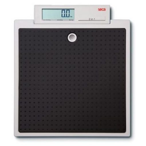 Seca 876 Flat Scales