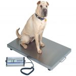 Veterinary Scale Digital 330lb x .2 lb / 150 kg x .1kg - Wheels